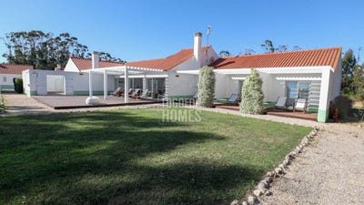 /international/pt/sao-teotonio-beja-310100522156/