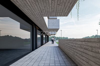 /international/pt/valongo-braganca-310108318484/