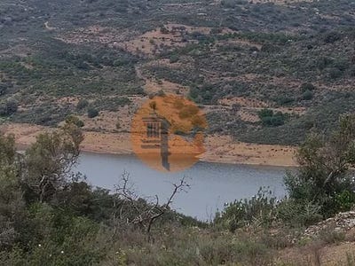 /international/pt/choca-queimada-castro-marim-faro-120086455466/