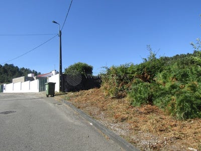 /international/pt/sandim-braga-310101226816/