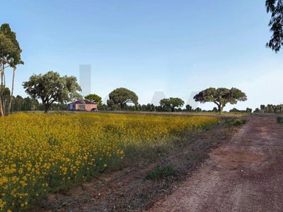 /international/pt/santa-clara-a-velha-beja-310108593027/