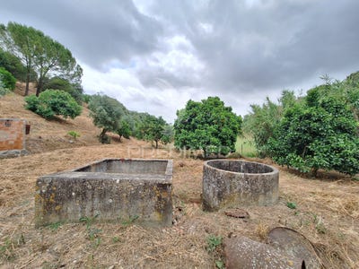 /international/pt/achete-azoia-de-baixo-e-povoa-de-santarem-santarem-santarem-310100232217/
