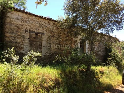 /international/pt/sao-martinho-das-amoreiras-portugal-sao-martinho-das-amoreiras-beja-310106395007/?lang=fr