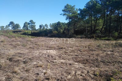 /international/pt/seixal-setubal-municipality-310094960363/