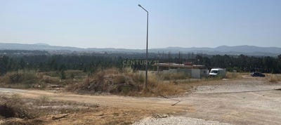 /international/pt/quinta-do-conde-setubal-municipality-310100599743/
