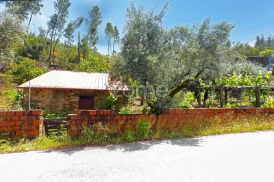 /international/pt/pampilhosa-da-serra-coimbra-310108482322/