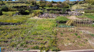 /international/pt/quinta-grande-madeira-310108154558/