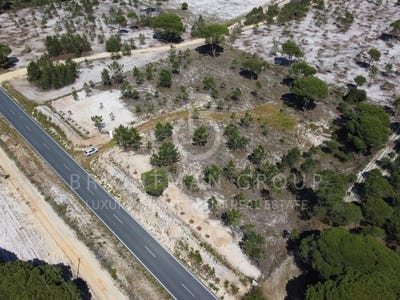 /international/pt/carvalhal-setubal-municipality-310099746177/
