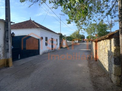 /international/pt/brogueira-santarem-310103635377/
