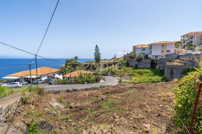 /international/pt/santa-cruz-madeira-310097843966/