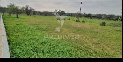 /international/pt/guia-albufeira-faro-310106063080/