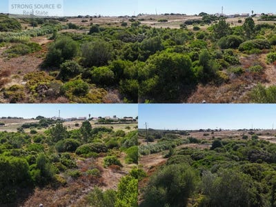 /international/pt/sesimbra-castelo-setubal-municipality-310100915216/