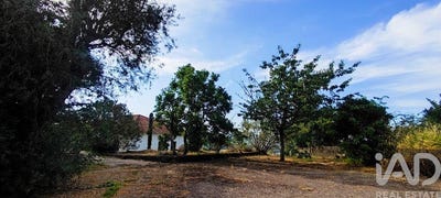 /international/pt/viana-do-castelo-viana-do-castelo-310105944645/