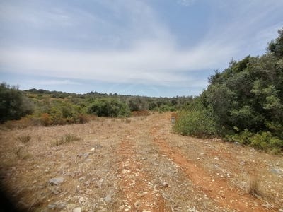 /international/pt/mexilhoeira-grande-faro-310098120244/