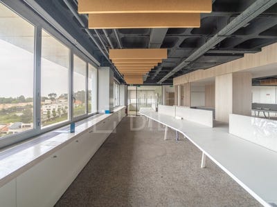 /international/pt/aldoar-porto-310107618267/