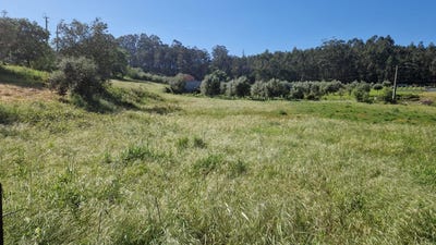 /international/pt/rua-vale-da-barroia-santiago-de-litem-leiria-120091625448/