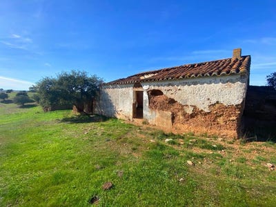 /international/pt/corte-do-pinto-beja-310098702443/?lang=zh-tw