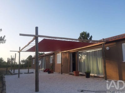 /international/pt/boavista-dos-pinheiros-beja-310105349612/