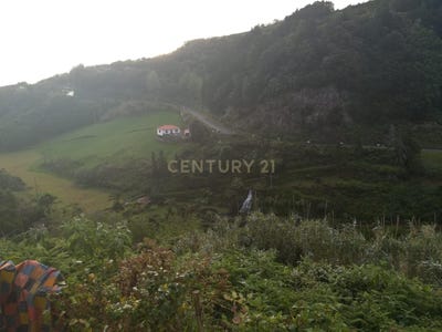 /international/pt/ribeira-do-guilherme-ilha-de-sao-miguel-azores-310107520401/