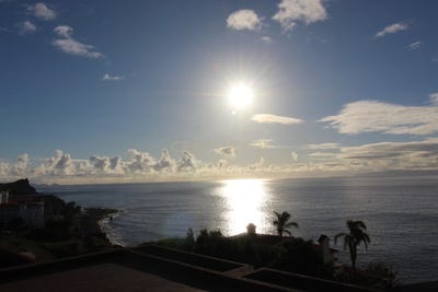 /international/pt/ilha-da-madeira-madeira-310100672229/