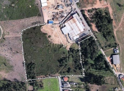 /international/pt/cervaes-braga-310100665657/
