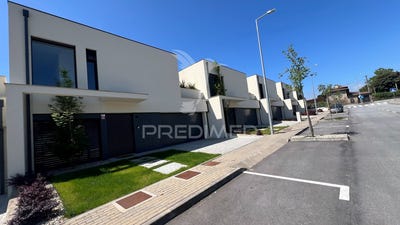 /international/pt/palmeira-braga-braga-310094696419/