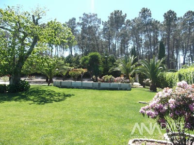 /international/pt/fornos-de-maceira-dao-viseu-120096010701/?lang=zh-tw