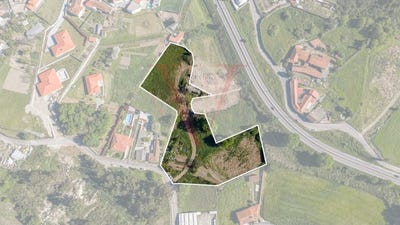 /international/pt/serzedelo-braga-310107090196/