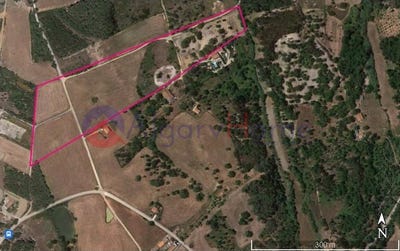 /international/pt/rogil-faro-310108526165/