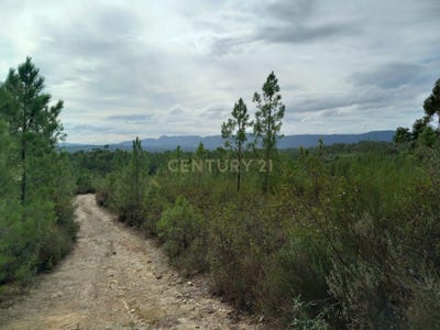 /international/pt/barroca-da-freixoeirinha-vale-da-pereira-santo-andre-das-tojeiras-castelo-branco-310105249136/