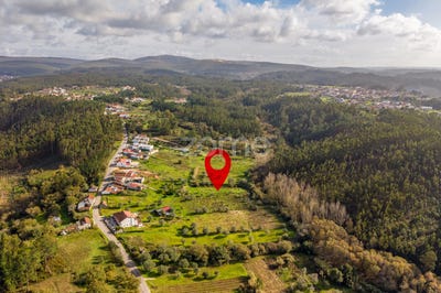 /international/pt/pombal-braga-310104459010/