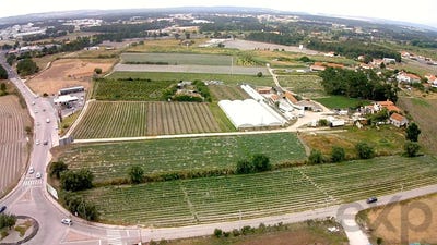 /international/pt/barreiros-caldas-da-rainha-santo-onofre-e-serra-do-bouro-leiria-310101731090/