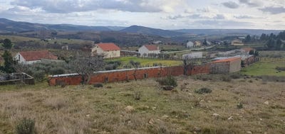 /international/pt/marchas-bacal-braganca-310105100123/