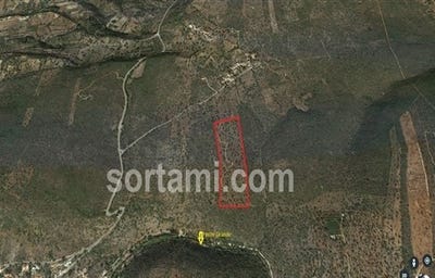 /international/pt/loule-faro-310107217120/