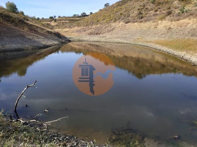 /international/pt/castro-marim-faro-310100660772/