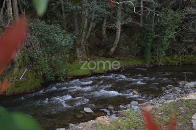 /international/pt/mesao-frio-vila-real-310107617551/