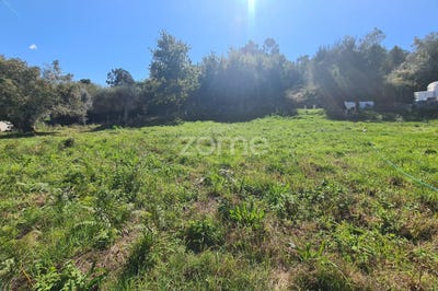 /international/pt/viana-do-castelo-viana-do-castelo-310102480739/