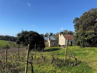 /international/pt/usseira-leiria-310104777075/