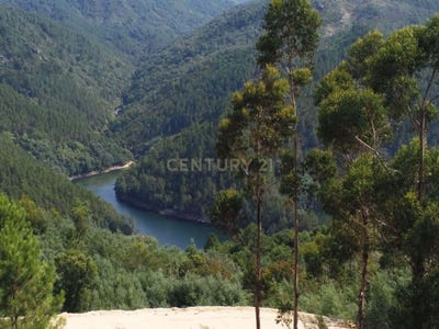 /international/pt/louredo-braga-310097051882/