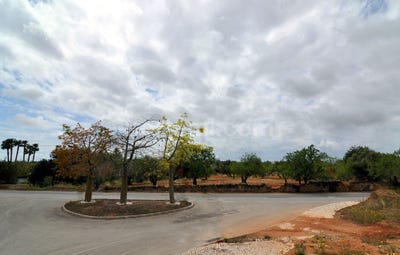 /international/pt/faro-faro-310107214175/