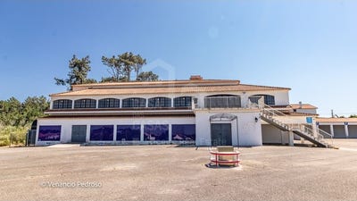 /international/pt/ericeira-lisbon-310108453036/