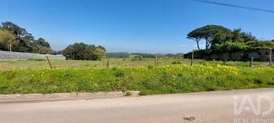 /international/pt/leiria-leiria-310108214224/