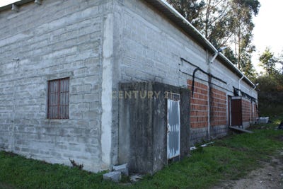 /international/pt/rua-da-poca-nova-entre-ambos-os-rios-viana-do-castelo-310102966509/