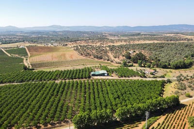 /international/pt/estremoz-evora-310105789406/