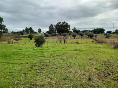 /international/pt/rua-da-devesa-idanha-a-nova-portugal-medelim-castelo-branco-310108618628/
