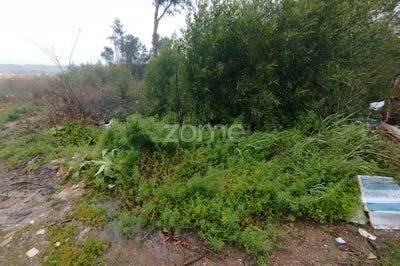 /international/pt/mangualde-viseu-310098315559/
