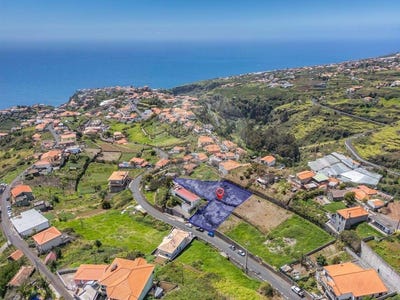 /international/pt/calheta-madeira-310108265332/