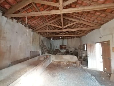 /international/pt/romeira-madeira-310100573080/