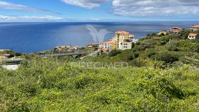 /international/pt/canico-santa-cruz-madeira-310099970213/