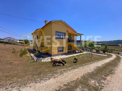 /international/pt/santo-isidoro-lisbon-310108891951/